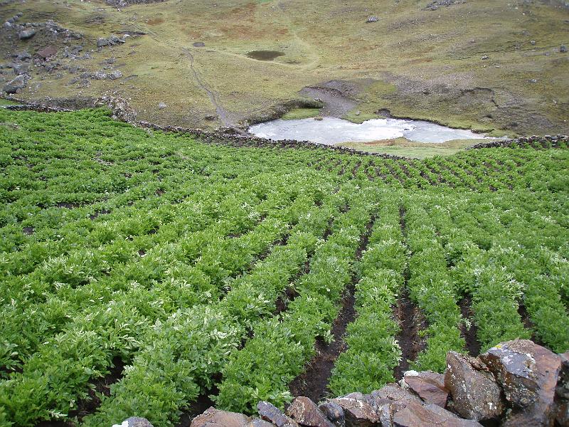 Illampu Trek (69).JPG